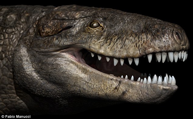 Loài cá sấu dài 7m, đứng bằng 2 chân đến khủng long bạo chúa cũng phải sợ đã từng thống trị đất liền - Ảnh 2.