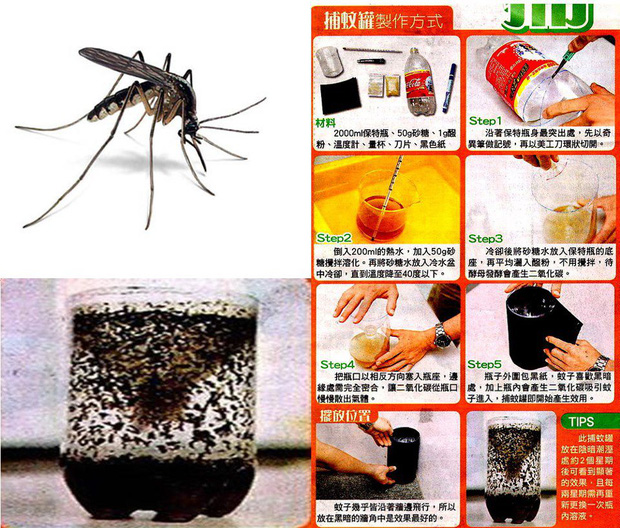 Cần biết ngay: Cách diệt muỗi phù hợp cho từng phòng trong nhà để đề phòng dịch sốt xuất huyết đang bùng phát - Ảnh 8.