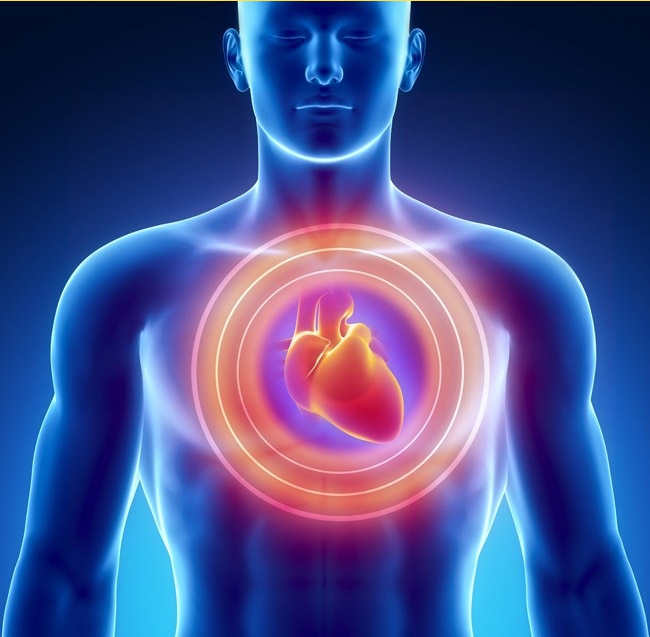 1 tháng trước khi cơn đau tim, cơ thể bạn sẽ cảnh báo với 7 tín hiệu này - Ảnh 7.