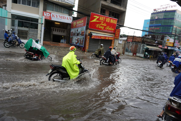 mưa lớn, ngập nước, bão số 10, Sài Gòn, cây ngã,