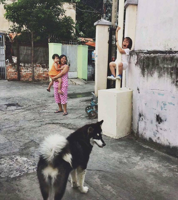 Nổi tiếng nhất hôm nay: Bức ảnh bé gái khóc thét vì sợ chó, leo tót lên cột điện trốn khiến ai cũng thấy hình ảnh mình ở đó - Ảnh 1.