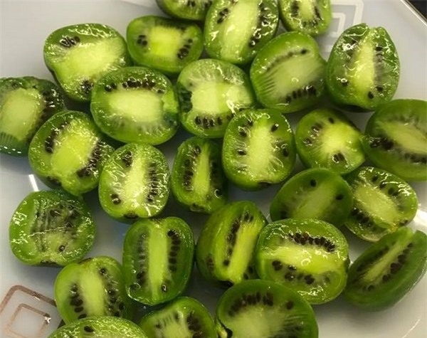 kiwi berry, hoa quả độc lạ, hoa quả nhập khẩu, hoa quả nhập ngoại, hoa quả cao cấp, quả lạ