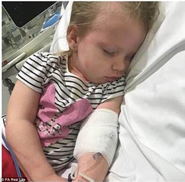 Bé gái 3 tuổi suýt chết vì một vết mèo cào - 2